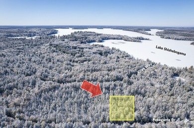 Shishebogama Lake Lot For Sale in Lac du Flambeau Wisconsin