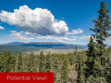 Monte Verde Lake Lot For Sale in Angel Fire New Mexico