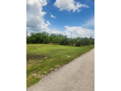 Peace River Lot For Sale in Punta Gorda Florida