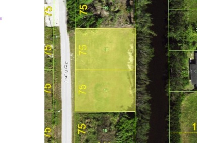 Punta Gorda with Gulf Access! waterfront multi family ( RMF 10) - photo 8