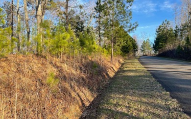 CARTERS LAKE ACCESS! Located in the center of one of Gilmer - Lake Lot For Sale in Ellijay, Georgia
