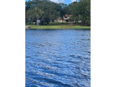 Lake Grady Lot For Sale in Riverview Florida