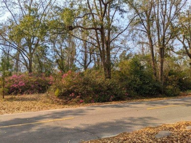 Brothers River Lot For Sale in Wewahitchka Florida