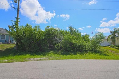 BEAUTIFUL TIP LOT with Gulf access lot located in South Gulf - photo 11
