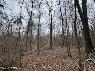 Holmes 200 This 200 ac +/- is located at 157 Eulogy Road - photo 11