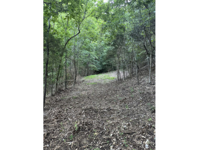 5.77 acres on Beaver Lakefrontage - photo 2
