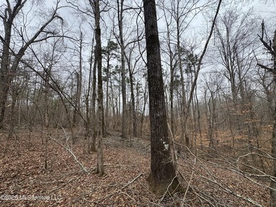 Holmes 200 This 200 ac +/- is located at 157 Eulogy Road - photo 13