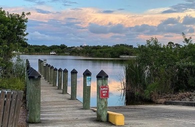 BEAUTIFUL TIP LOT with Gulf access lot located in South Gulf - photo 15
