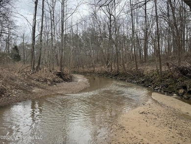 Holmes 200 This 200 ac +/- is located at 157 Eulogy Road - photo 15