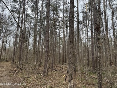 Holmes 200 This 200 ac +/- is located at 157 Eulogy Road - photo 20