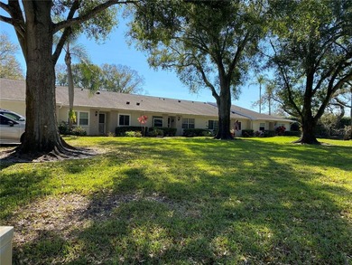 Lake Tarpon Home For Sale in Palm Harbor Florida
