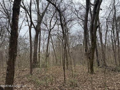 Holmes 200 This 200 ac +/- is located at 157 Eulogy Road - photo 21
