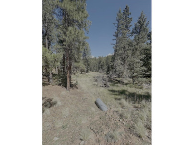Monte Verde Lake Lot For Sale in Angel Fire New Mexico