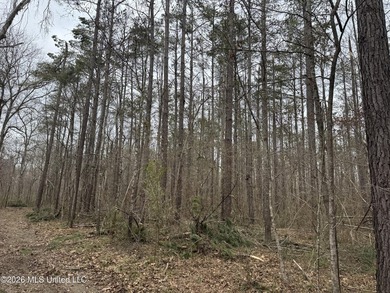 Holmes 200 This 200 ac +/- is located at 157 Eulogy Road - photo 22