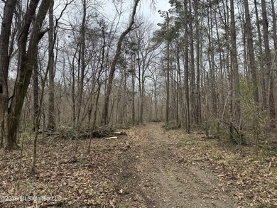 Holmes 200 This 200 ac +/- is located at 157 Eulogy Road - photo 23