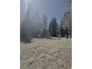 Spacious, wooded property near Monte Verde Lake with several - photo 3
