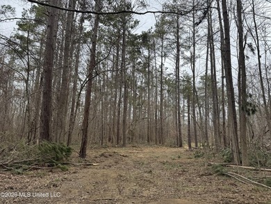 Holmes 200 This 200 ac +/- is located at 157 Eulogy Road - photo 24