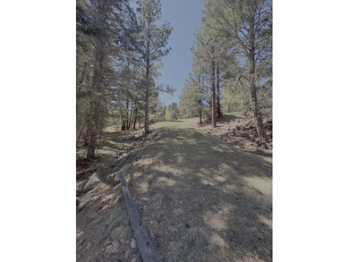 Spacious, wooded property near Monte Verde Lake with several - photo 4