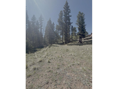 Spacious, wooded property near Monte Verde Lake with several - photo 5
