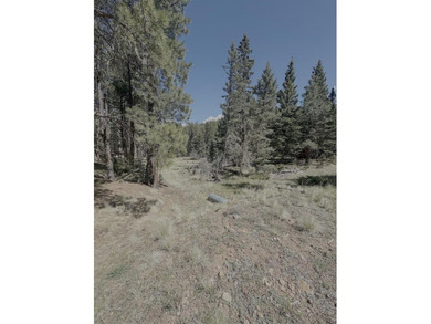 Spacious, wooded property near Monte Verde Lake with several - photo 6