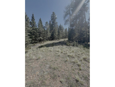Spacious, wooded property near Monte Verde Lake with several - photo 7