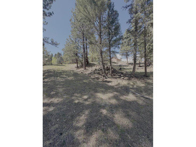 Spacious, wooded property near Monte Verde Lake with several - photo 8