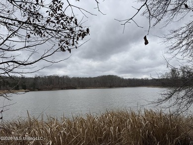 Holmes 200 This 200 ac +/- is located at 157 Eulogy Road - photo 29