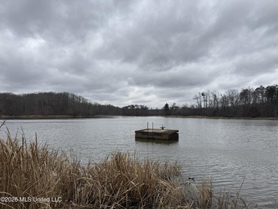 Holmes 200 This 200 ac +/- is located at 157 Eulogy Road - photo 30
