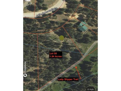 Spacious, wooded property near Monte Verde Lake with several - photo 10