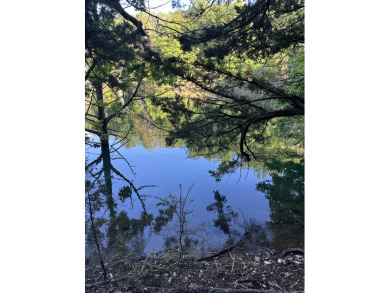 5.77 acres on Beaver Lakefrontage - photo 5