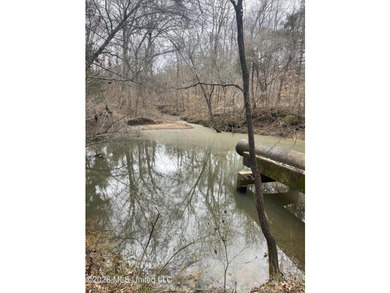 Holmes 200 This 200 ac +/- is located at 157 Eulogy Road - photo 33
