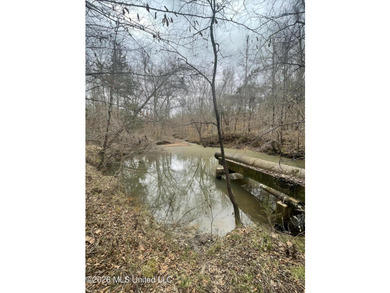 Holmes 200 This 200 ac +/- is located at 157 Eulogy Road - photo 34