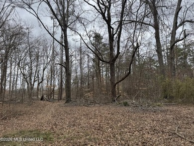 Holmes 200 This 200 ac +/- is located at 157 Eulogy Road - photo 39