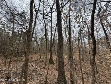 Holmes 200 This 200 ac +/- is located at 157 Eulogy Road - photo 40