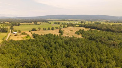 Custom Home on 96 Acres in Hector, Arkansas - Built in