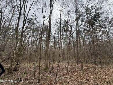 Holmes 200 This 200 ac +/- is located at 157 Eulogy Road - photo 43