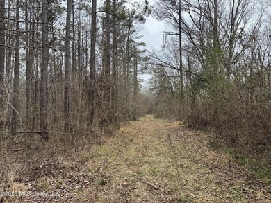 Holmes 200 This 200 ac +/- is located at 157 Eulogy Road - photo 45