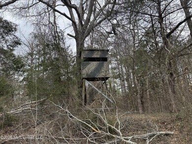 Holmes 200 This 200 ac +/- is located at 157 Eulogy Road - photo 47