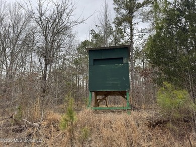 Holmes 200 This 200 ac +/- is located at 157 Eulogy Road - photo 48
