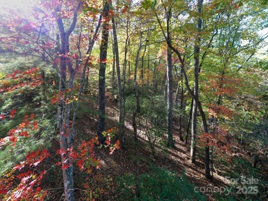 Experience refined mountain living at its finest within The - photo 9