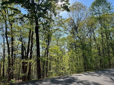 Located in the gated golf course community, Mountain Harbour - photo 9