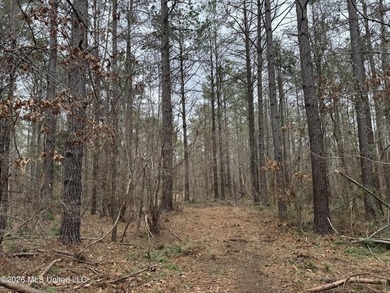 Holmes 200 This 200 ac +/- is located at 157 Eulogy Road - photo 50