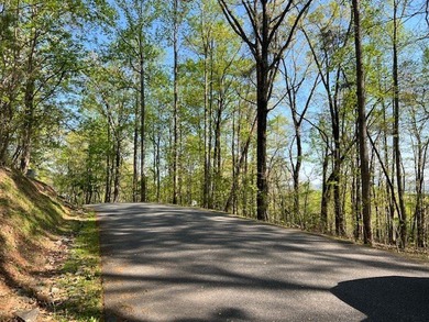 Located in the gated golf course community, Mountain Harbour - photo 10