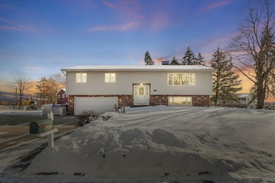 Lake Waubesa Home For Sale in Mcfarland Wisconsin