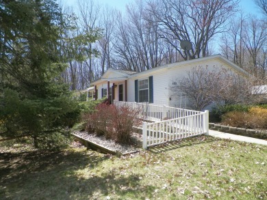 Lake Home For Sale in Leroy, Michigan