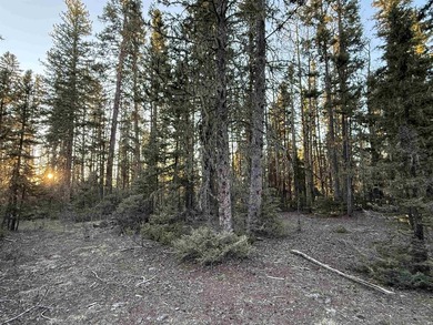 Monte Verde Lake Lot For Sale in Angel Fire New Mexico
