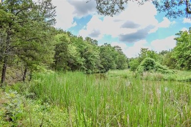 A rare opportunity to own waterfront property on beautiful Lake - photo 12