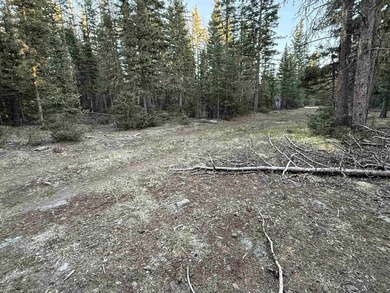 Perched near the top of Angel Fire Resort and just feet from the - photo 4