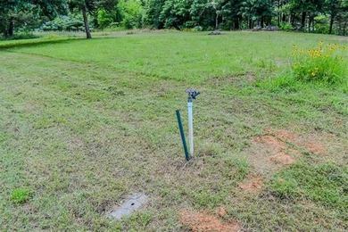 A rare opportunity to own waterfront property on beautiful Lake - photo 15