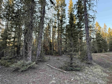 Perched near the top of Angel Fire Resort and just feet from the - photo 5